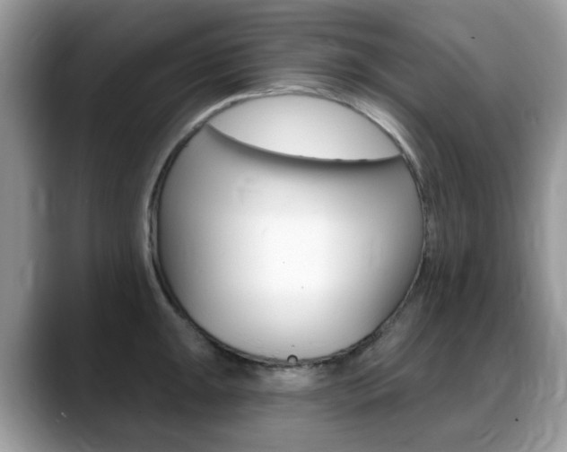 X0000088901047200706080822