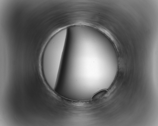 X0000088901048200706080822
