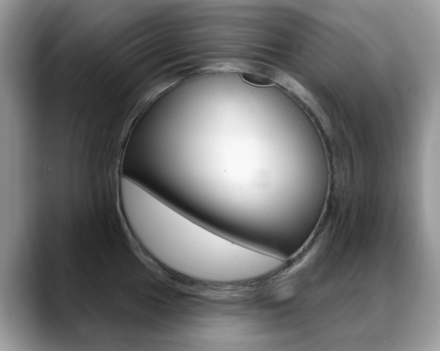 X0000088901049200706080823
