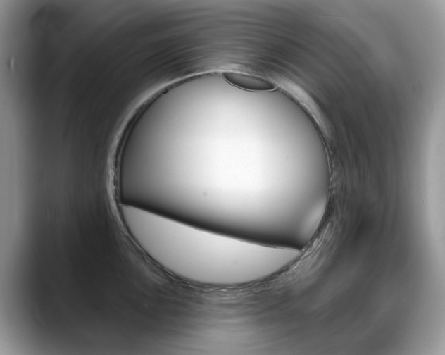 X0000088901051200706080823