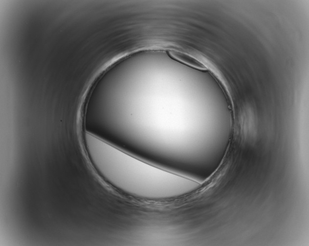 X0000088901053200706080823