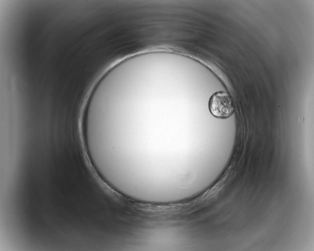 X0000088901054200706080823