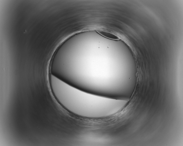 X0000088901055200706080823