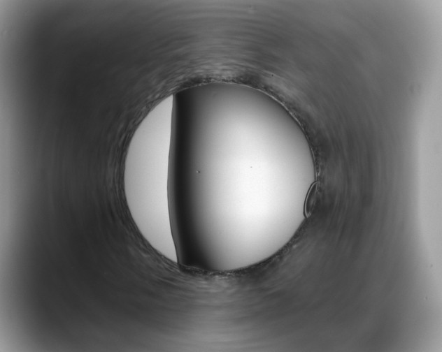 X0000088901058200706080822