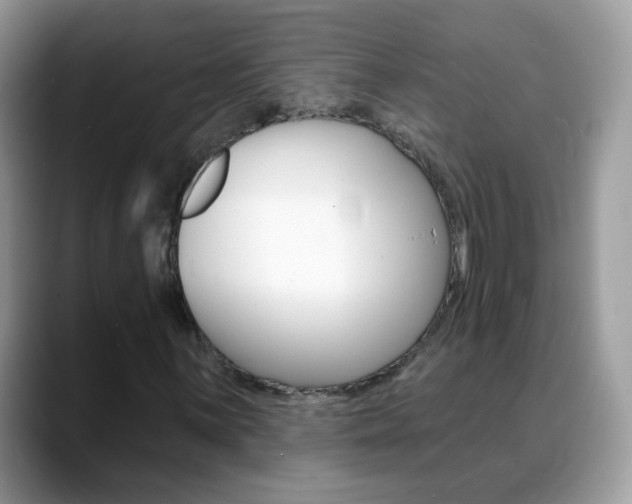 X0000088901059200706080822
