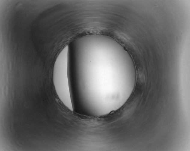 X0000088901060200706080822