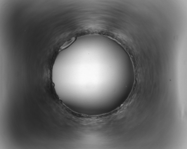 X0000088901061200706080822