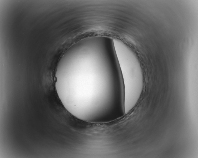 X0000088901062200706080822