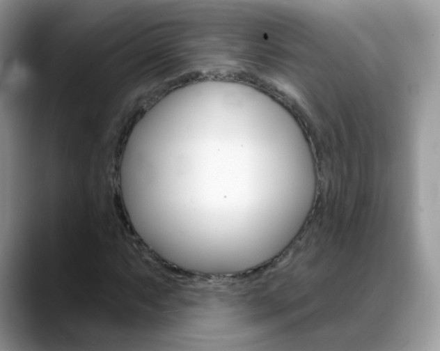 X0000088901063200706080822