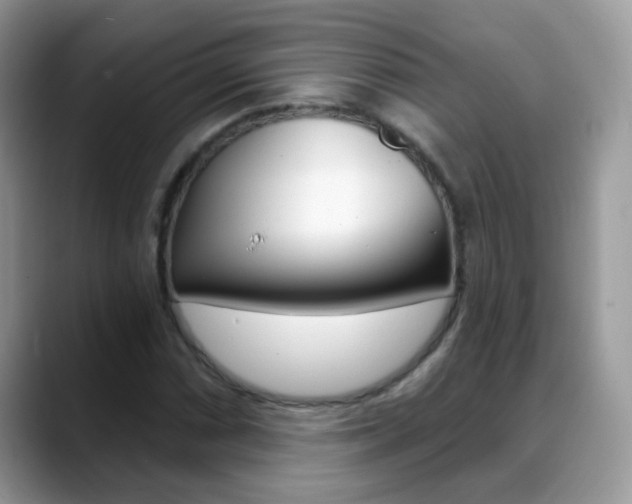 X0000088901066200706080822