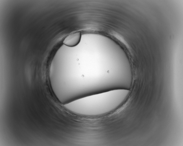 X0000088901067200706080822
