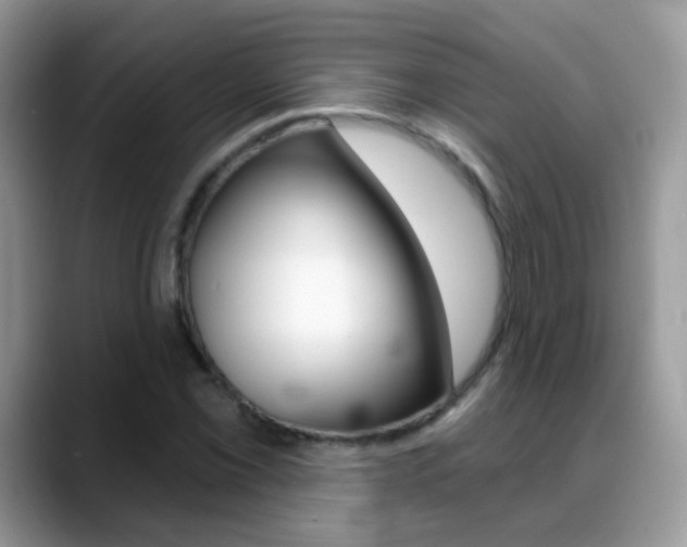 X0000088901069200706080822