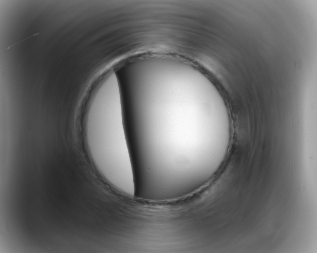 X0000088901070200706080822