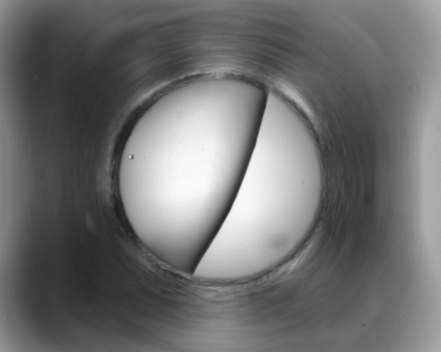 X0000088901071200706080822