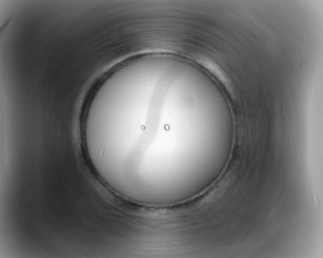 X0000088901072200706080822