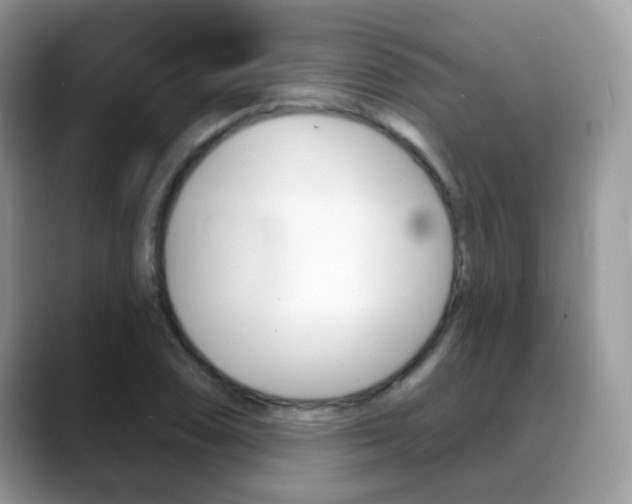 X0000088901074200706080822