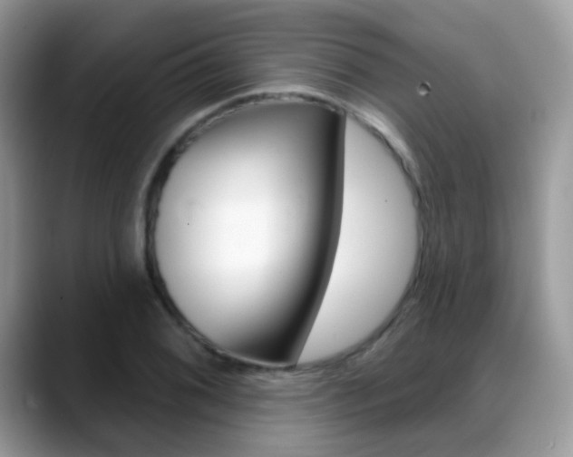 X0000088901076200706080822