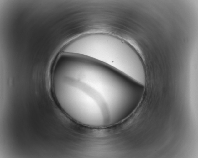 X0000088901080200706080822