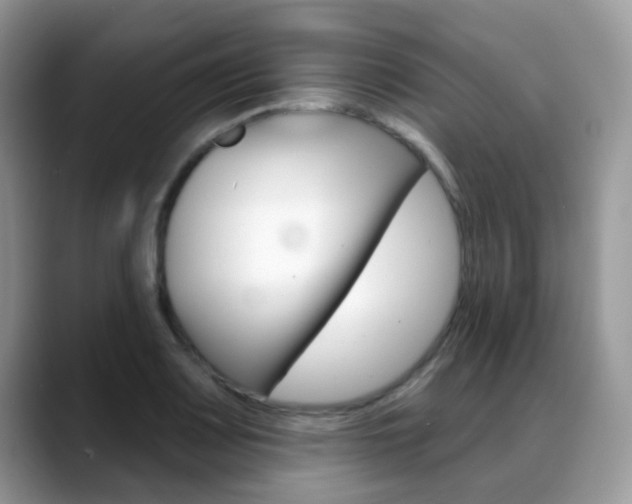 X0000088901083200706080822