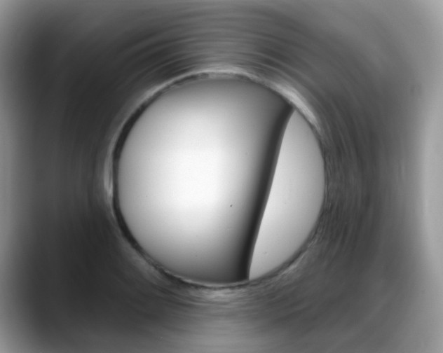 X0000088901084200706080822