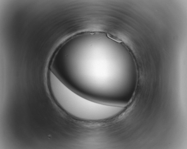 X0000088901085200706080822