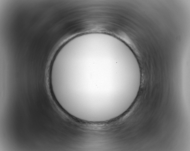 X0000088901086200706080822