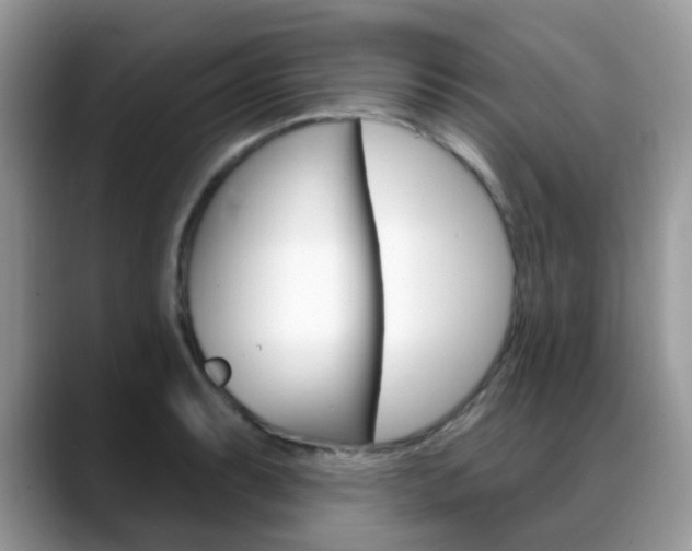 X0000088901087200706080822