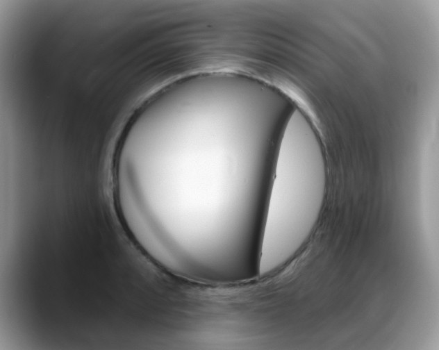 X0000088901088200706080822
