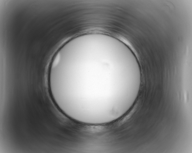 X0000088901090200706080822