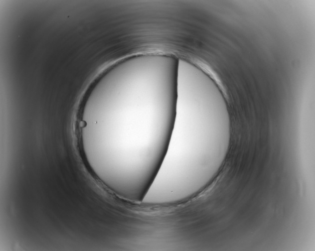 X0000088901091200706080822