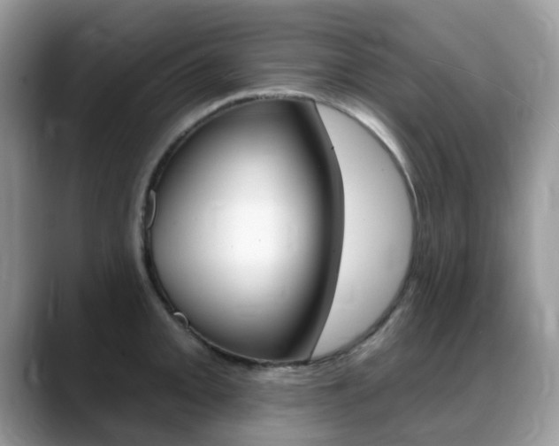 X0000088901093200706080822
