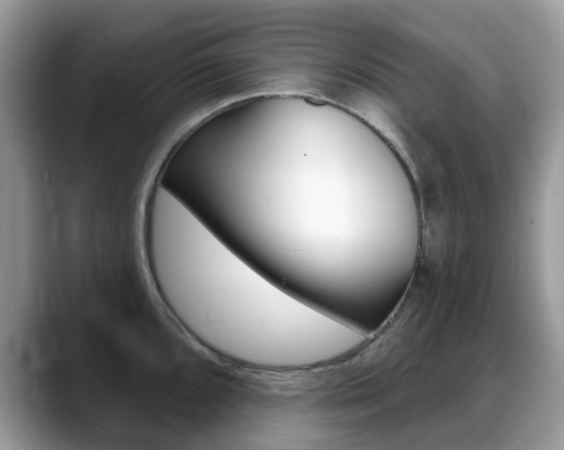 X0000088901096200706080821