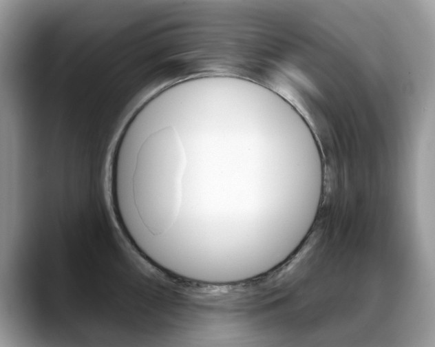 X0000088901098200706080821