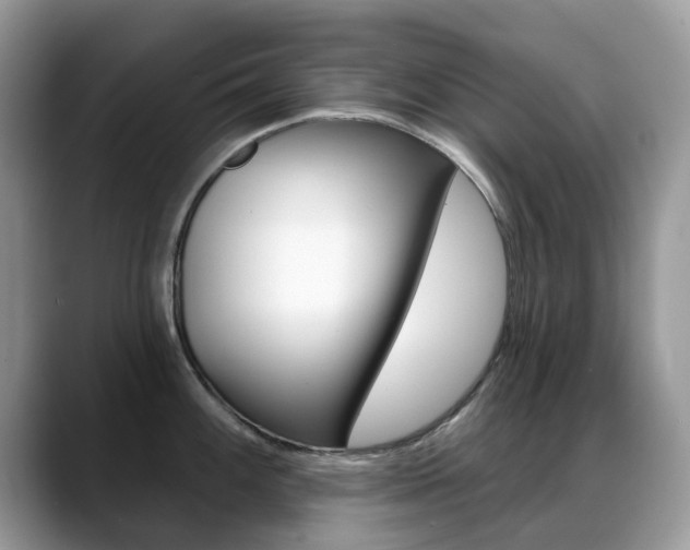 X0000088901100200706080821