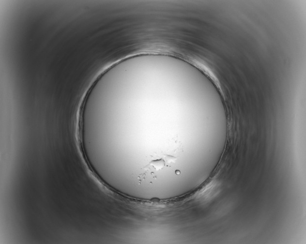 X0000088901103200706080821