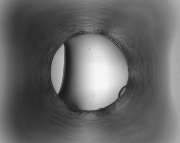 X0000088901106200706080821