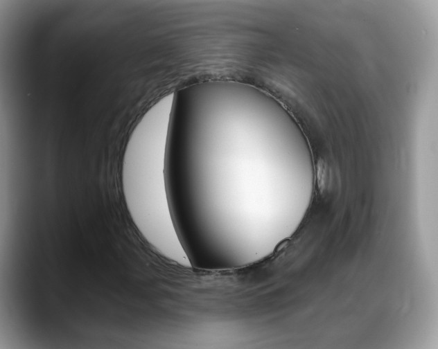 X0000088901107200706080821