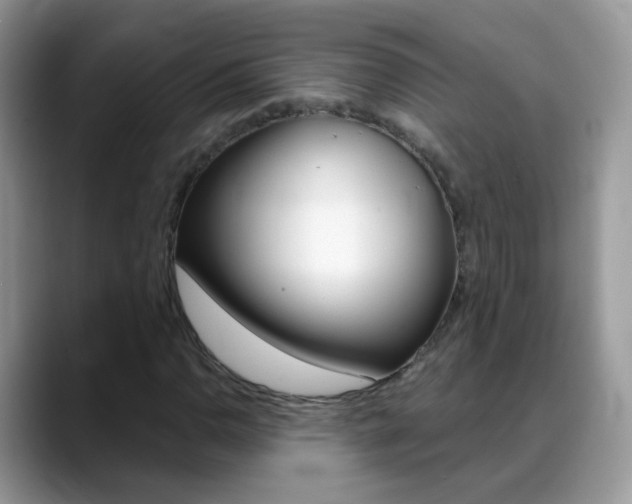 X0000088901110200706080821