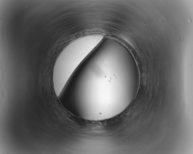 X0000088901111200706080821