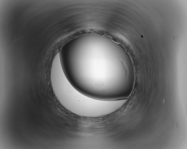X0000088901112200706080821