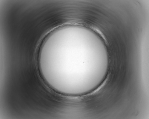 X0000088901114200706080821
