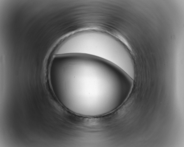 X0000088901116200706080821