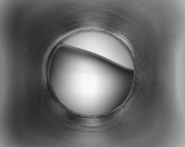 X0000088901120200706080821