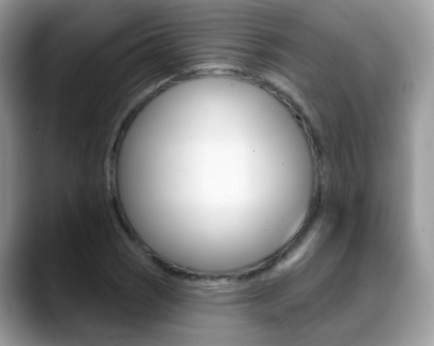 X0000088901121200706080821