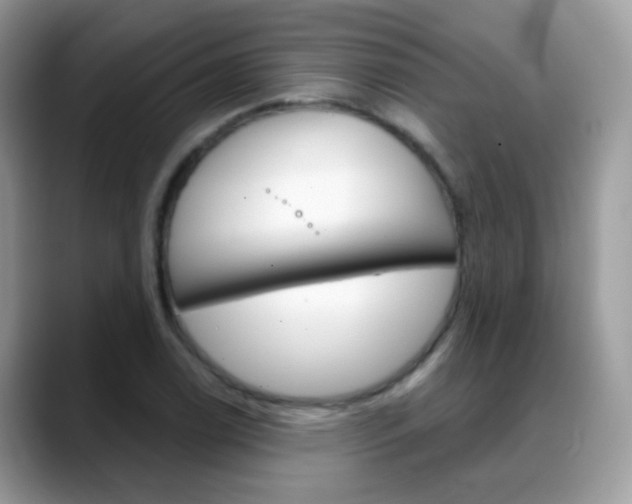 X0000088901122200706080821