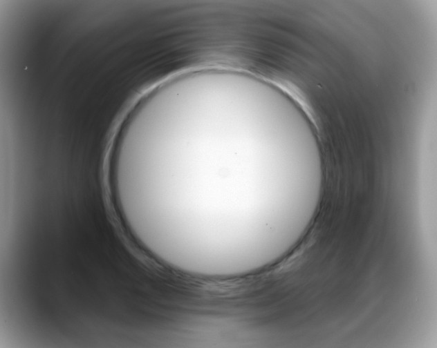 X0000088901128200706080821