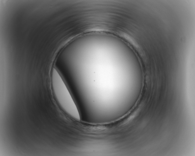 X0000088901129200706080821
