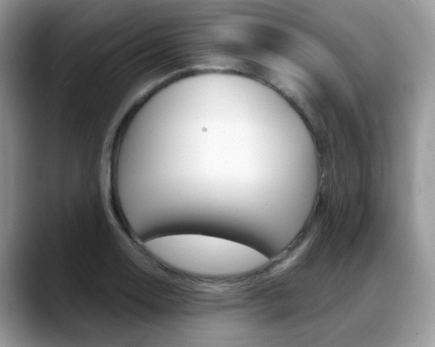 X0000088901130200706080821