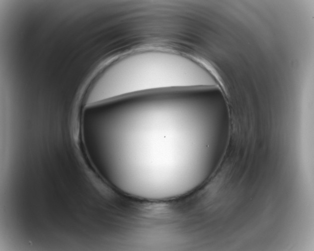 X0000088901131200706080821