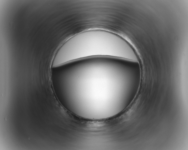 X0000088901145200706080821